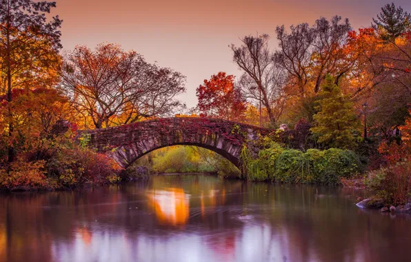 Autumn, trees, bridge, river, New York, New York, photographer John S