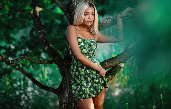 Trees, pose, model, portrait, makeup, figure, dress, hairstyle
