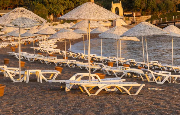 Sand, beach, summer, light, stay, shore, the evening, morning