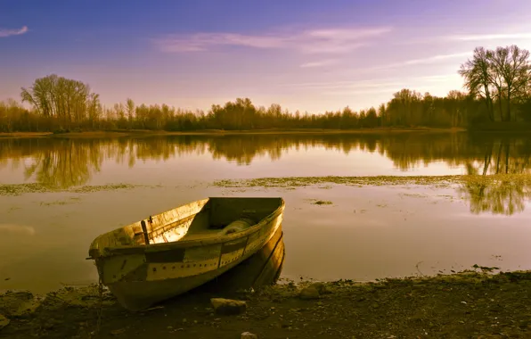 Nature, lake, nature, lake, Old boat, Old boat
