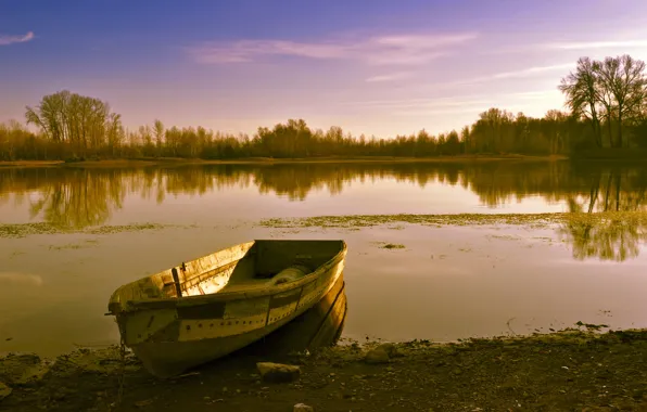 Nature, Lake, Nature, Lake, Old boat, Old boat