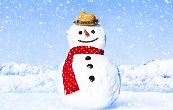 Picture winter, snow, landscape, snowflakes, glare, hat, scarf, snowman