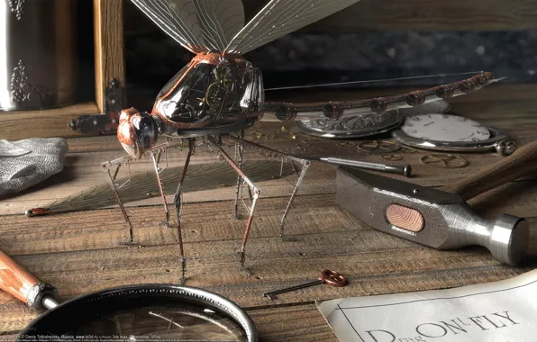 Picture table, dragonfly, key, hammer, magnifier, Denis Tolkishevsky, mechanisms