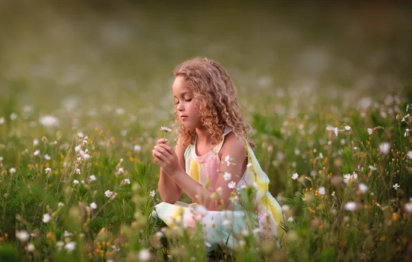 Picture summer, nature, girl