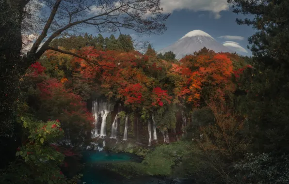 Autumn, forest, trees, mountain, waterfall, Japan, Fuji