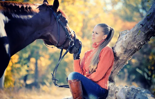 Picture autumn, girl, the sun, tree, horse, jeans, boots, hairstyle