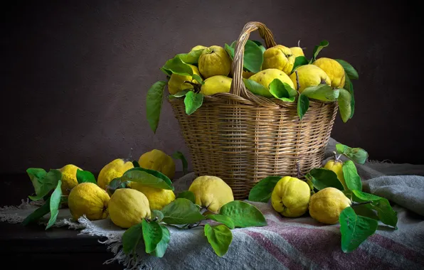 The dark background, food, dishes, fruit, still life, basket, a lot, composition