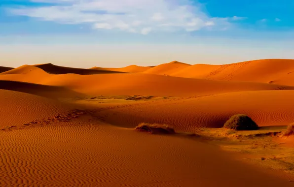 Sand, the sky, clouds, desert, barkhan