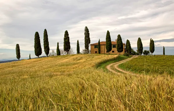 Field, the sky, trees, house, hill, Italy, Pienza, Siena
