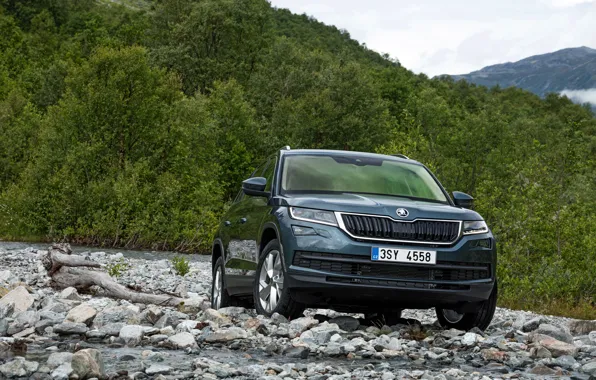 Forest, trees, stones, SUV, Skoda, Skoda, 2016, Kodiaq