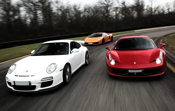 Picture white, trees, orange, red, race, Lamborghini, 911, Porsche