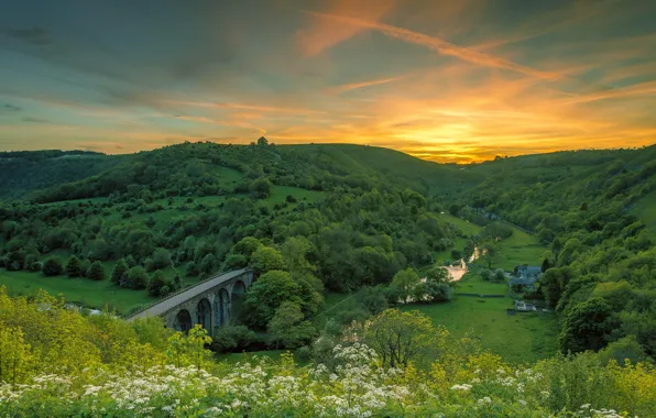 Bridge, Sunrise, River, Hills, Valley, Oak