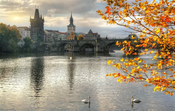 Picture autumn, branches, bridge, the city, river, building, home, Prague