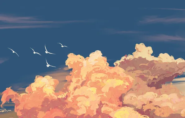 The sky, clouds, birds