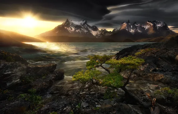 The sky, water, the sun, sunset, mountains, stones, tree, shore
