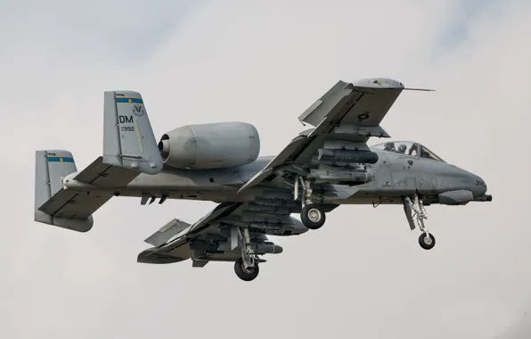 Picture weapons, flies, A-10 Thunderbolt II, combat aircraft