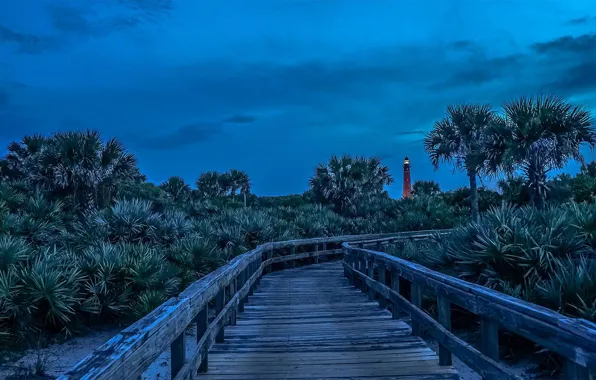 Picture lighthouse, the evening, FL, USA, flooring, Ponce Inlet