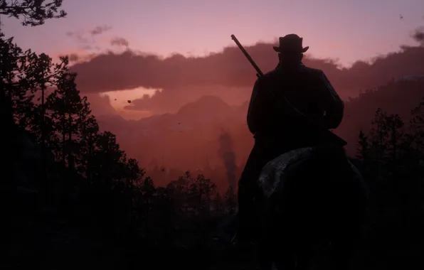 Rockstar, Game, Rockstar Games, Red Dead Redemption 2, Gang, RDR