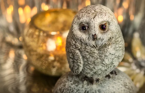 Picture light, lights, comfort, owl, bird, toy, candles, candle holder