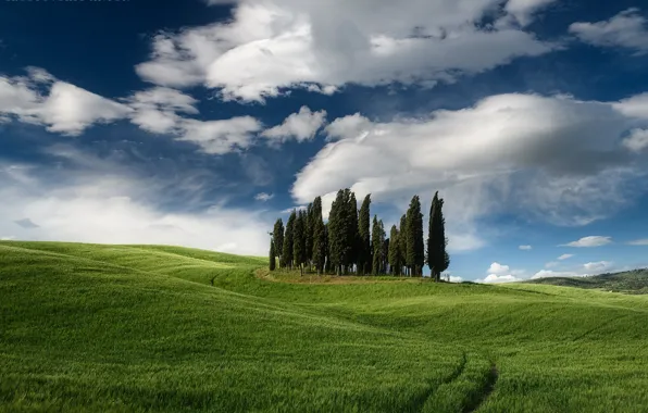 The sky, trees, valley, Italy, Tuscany, Rostov Anton
