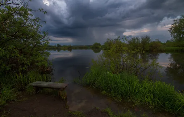 Grass, landscape, clouds, nature, river, shop, the bushes, Bank