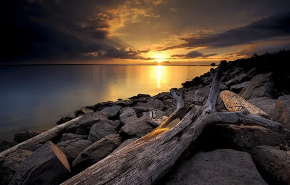 The sky, sunset, clouds, lake, stones, shore, snag
