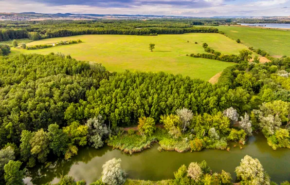 Greens, field, forest, summer, trees, river, Czech Republic, panorama