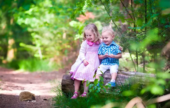Forest, trees, joy, children, boy, small, girl, hedgehog