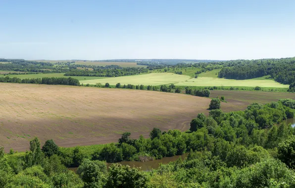 Field, trees, Summer, the sky., river