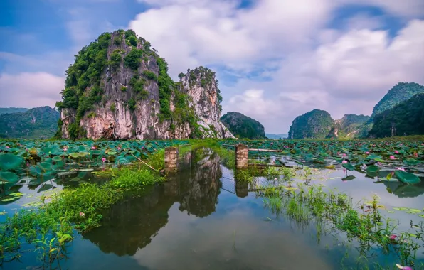 Picture lake, rocks, Lotus