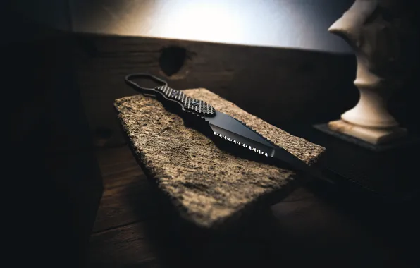 Picture background, knife, Skallywag Tactical