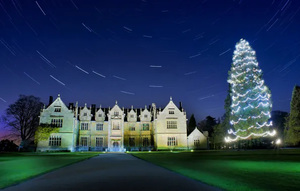 Night, lights, castle, holiday, England, Christmas, Sussex, Wakehurst Place