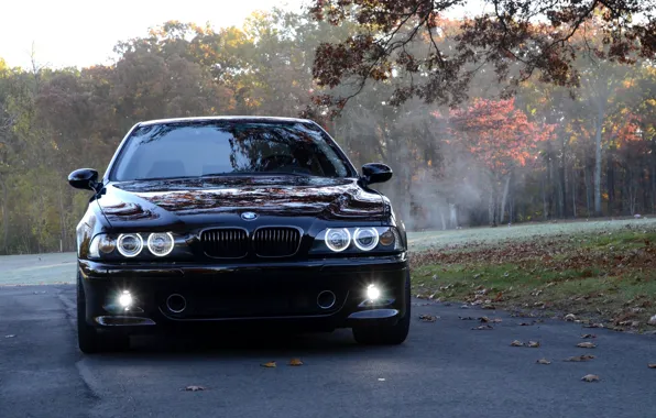 Picture Black, E39, Trees, M5, Front view