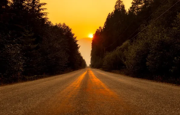 Road, forest, the sky, the sun, trees, sunrise, highway, Canada