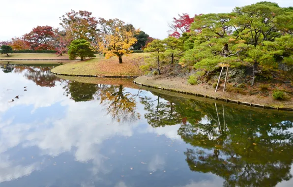 Autumn, lake, Park