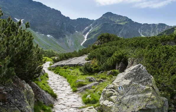 The sky, clouds, trees, landscape, mountains, nature, rocks, plants