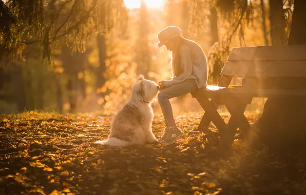 Autumn, rays, light, bench, Park, each, mood, foliage