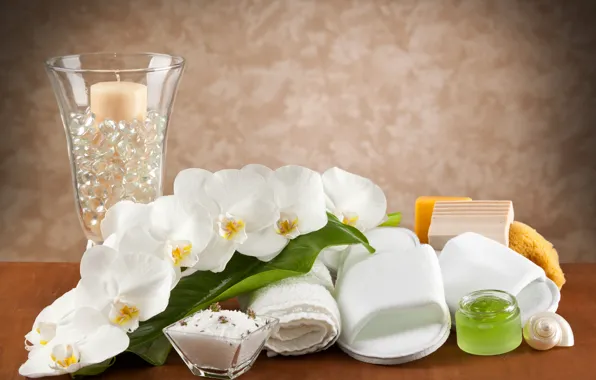 Oil, towels, Spa