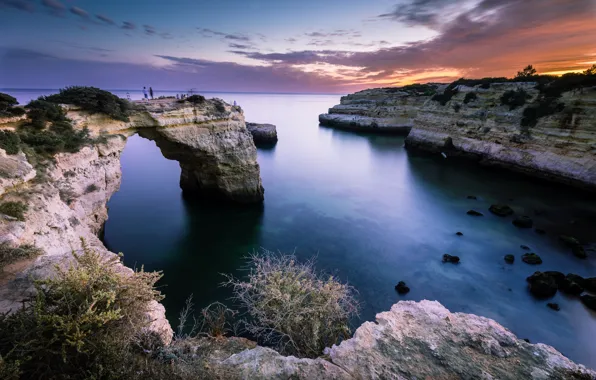 Beach, grass, landscape, sunset, nature, the ocean, rocks, shore