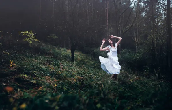 Picture forest, girl, dance, dress, Dreamweaver, Andrea Peipe