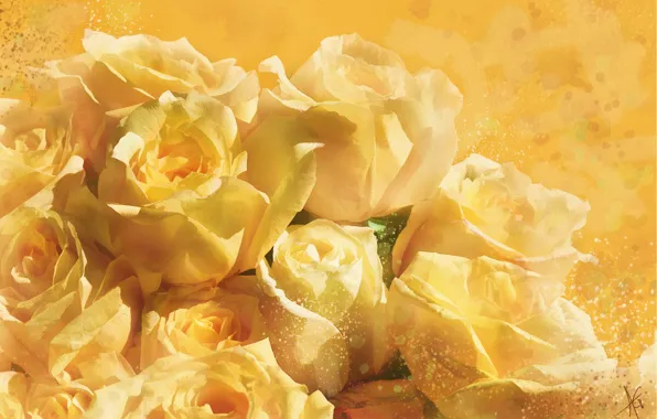 Flowers, yellow, background, figure, graphics, roses, treatment, picture