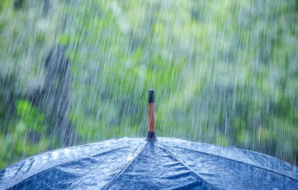 Macro, umbrella, rain, the shower