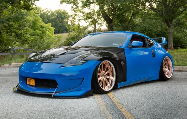 Picture Nissan, Blue, Black, 370z