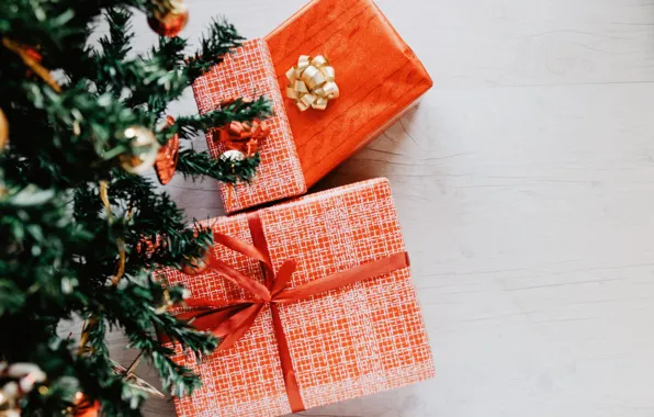 Picture holiday, gift, tree, new year