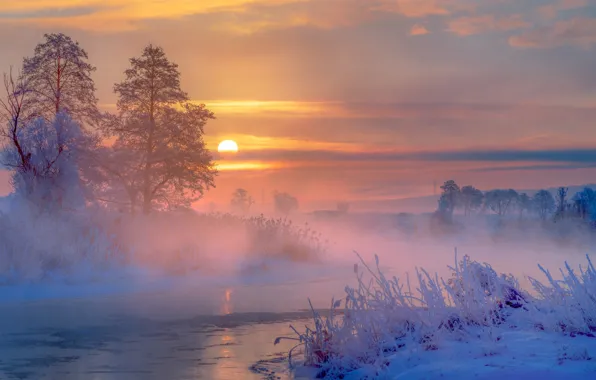 Winter, snow, trees, fog, river, sunrise, dawn, morning