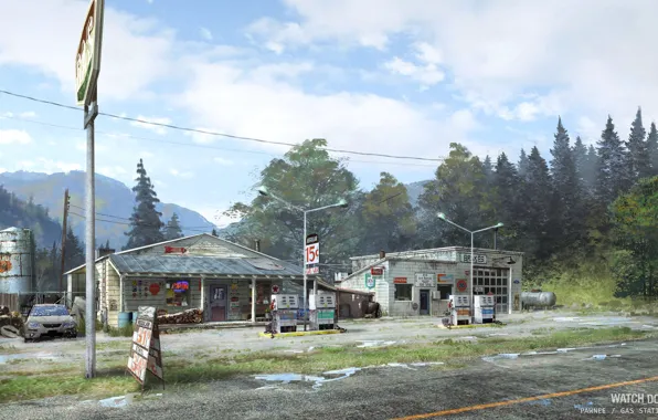 Forest, mountains, station, gas station, Watch Dogs - environments