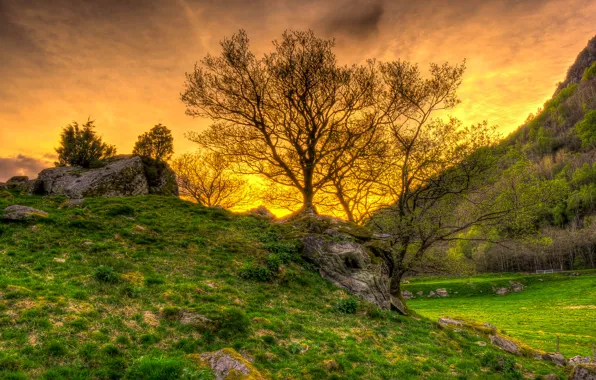 The sky, grass, trees, sunset, mountains, stones, hdr