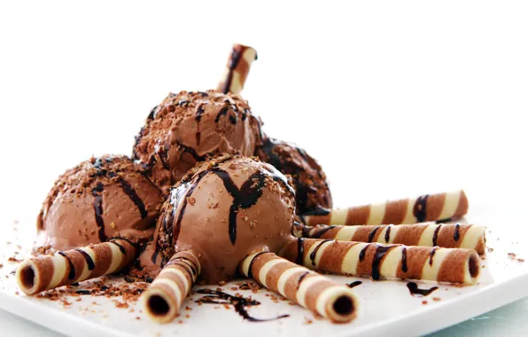 Balls, dessert, sweet sticks, chocolate ice cream