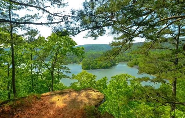 Forest, summer, the sky, trees, mountains, lake, USA, Arkansas