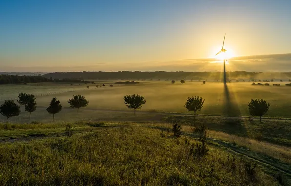 Picture fog, windmill, morning